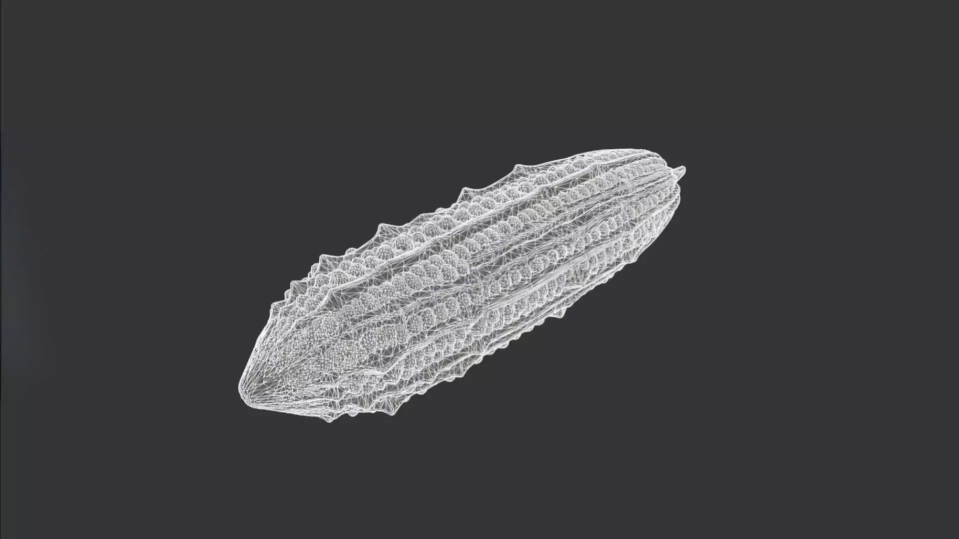 Bitter Melon 3D model_2