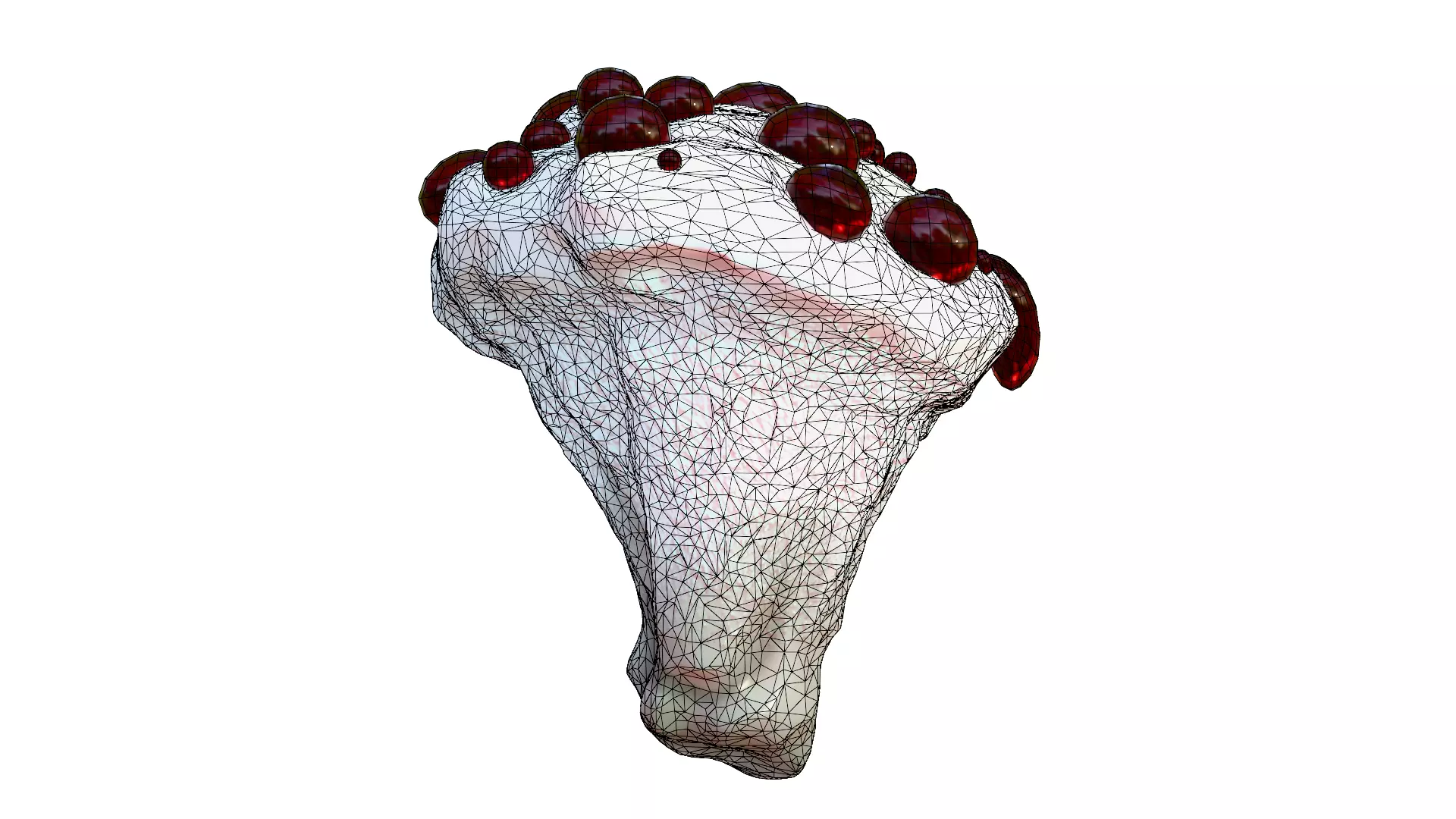 Hydnellum Peckii Low-poly 3D model_38