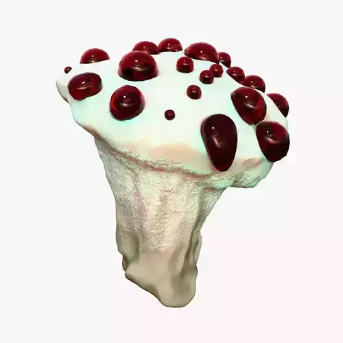 Hydnellum Peckii Low-poly 3D model