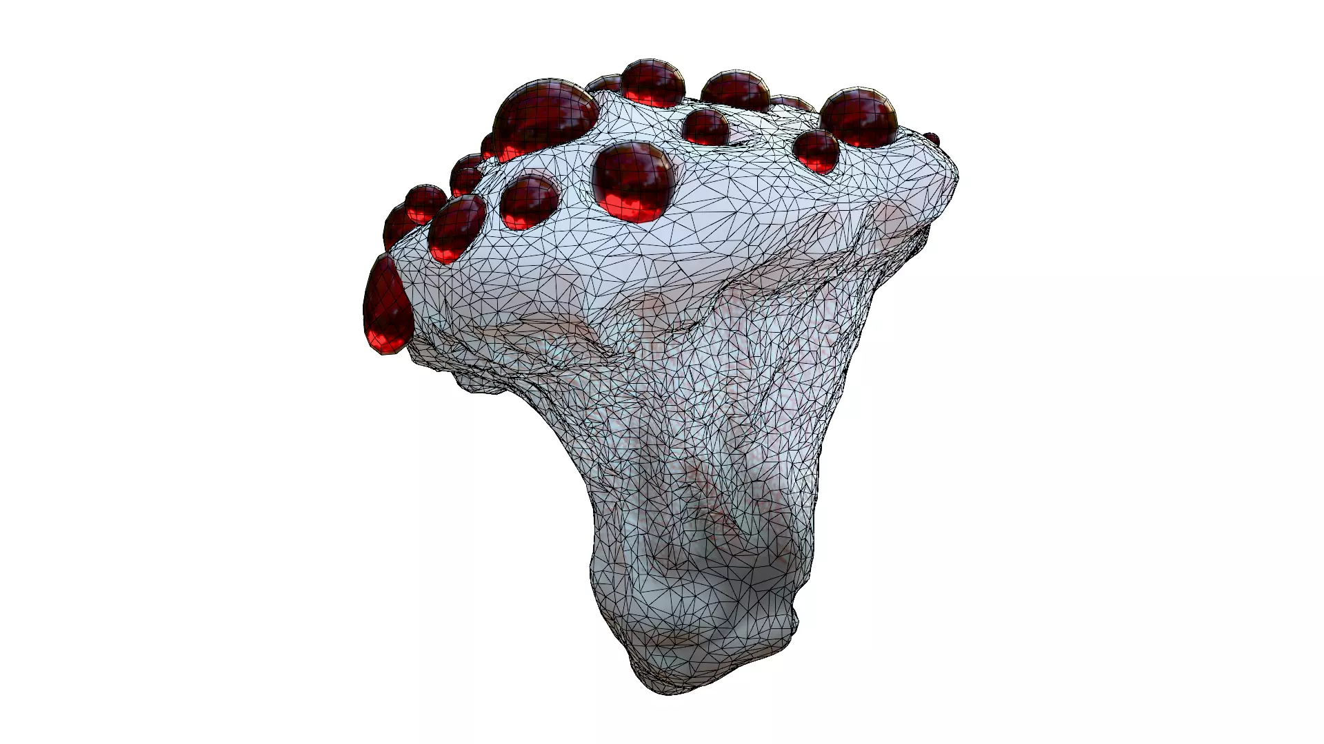 Hydnellum Peckii Low-poly 3D model_33