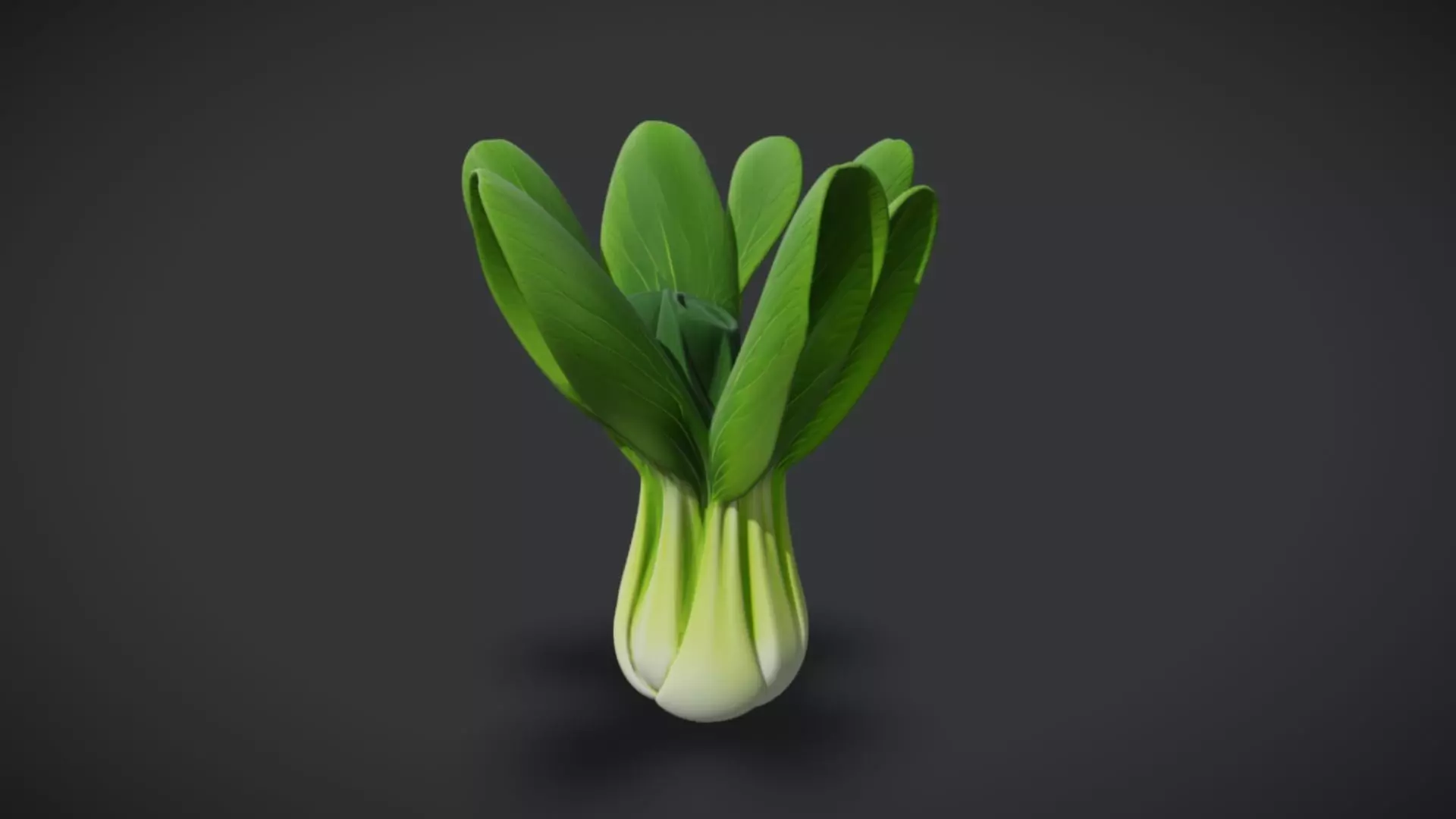Bok Choy 3D model_0