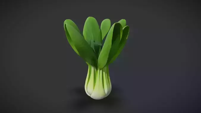 Bok Choy 3D model