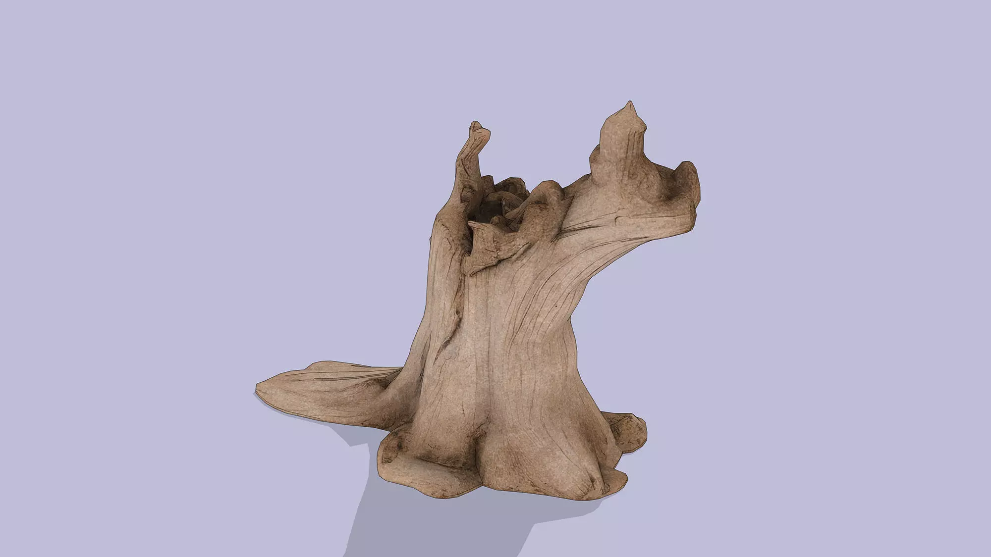 Tree Stump Low-poly 3D model_5