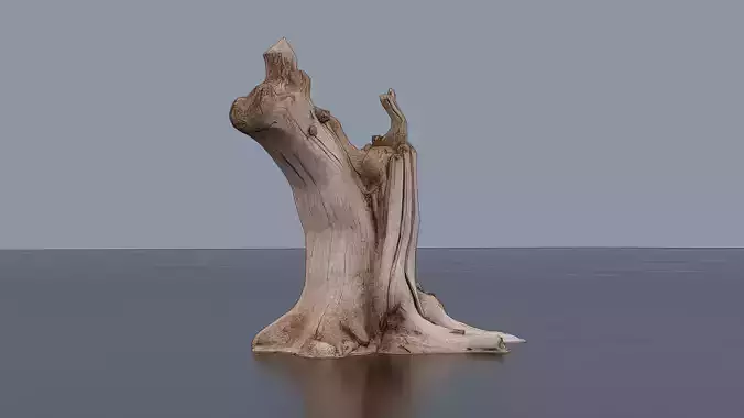 Tree Stump Low-poly 3D model