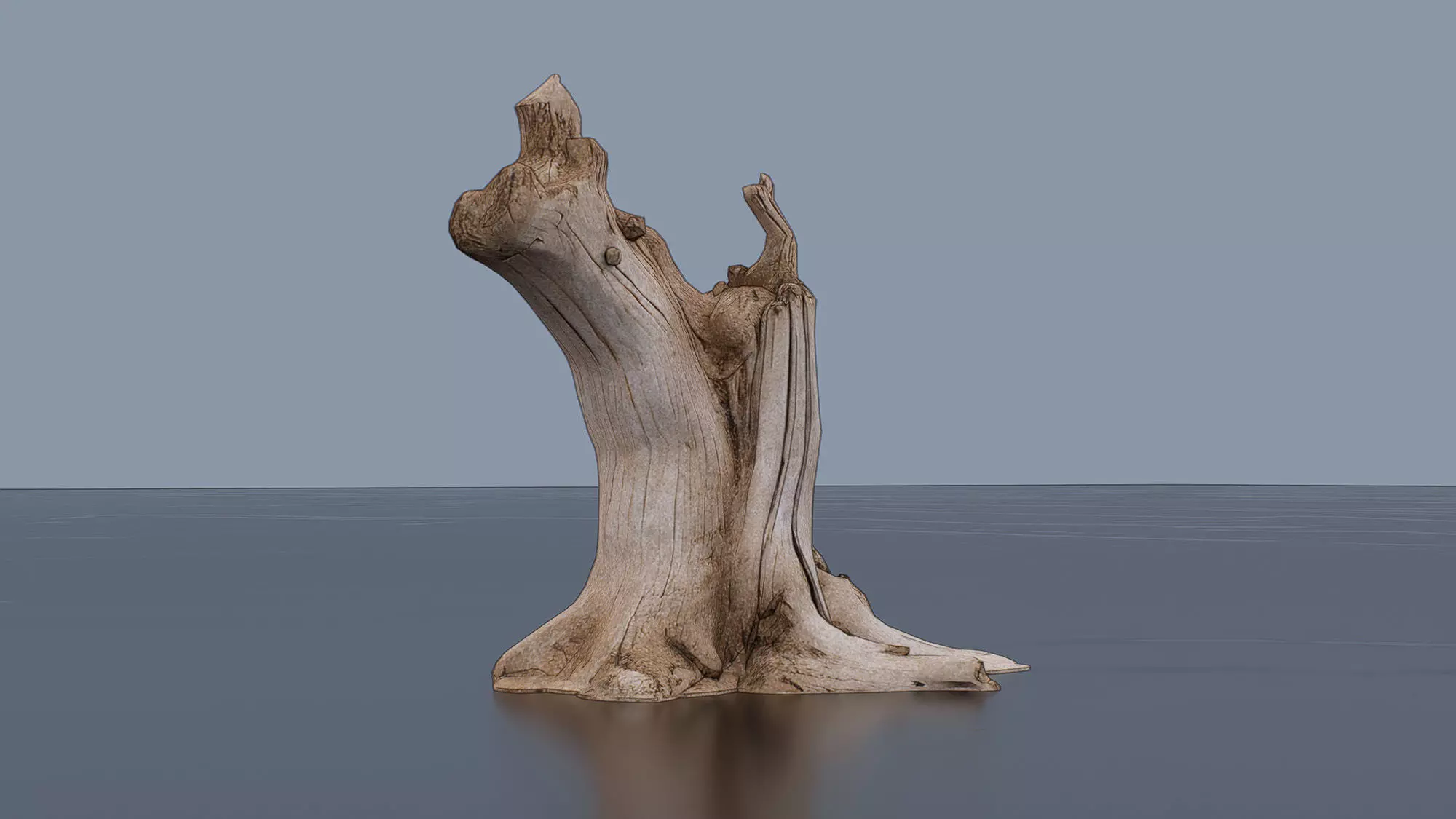 Tree Stump Low-poly 3D model_0