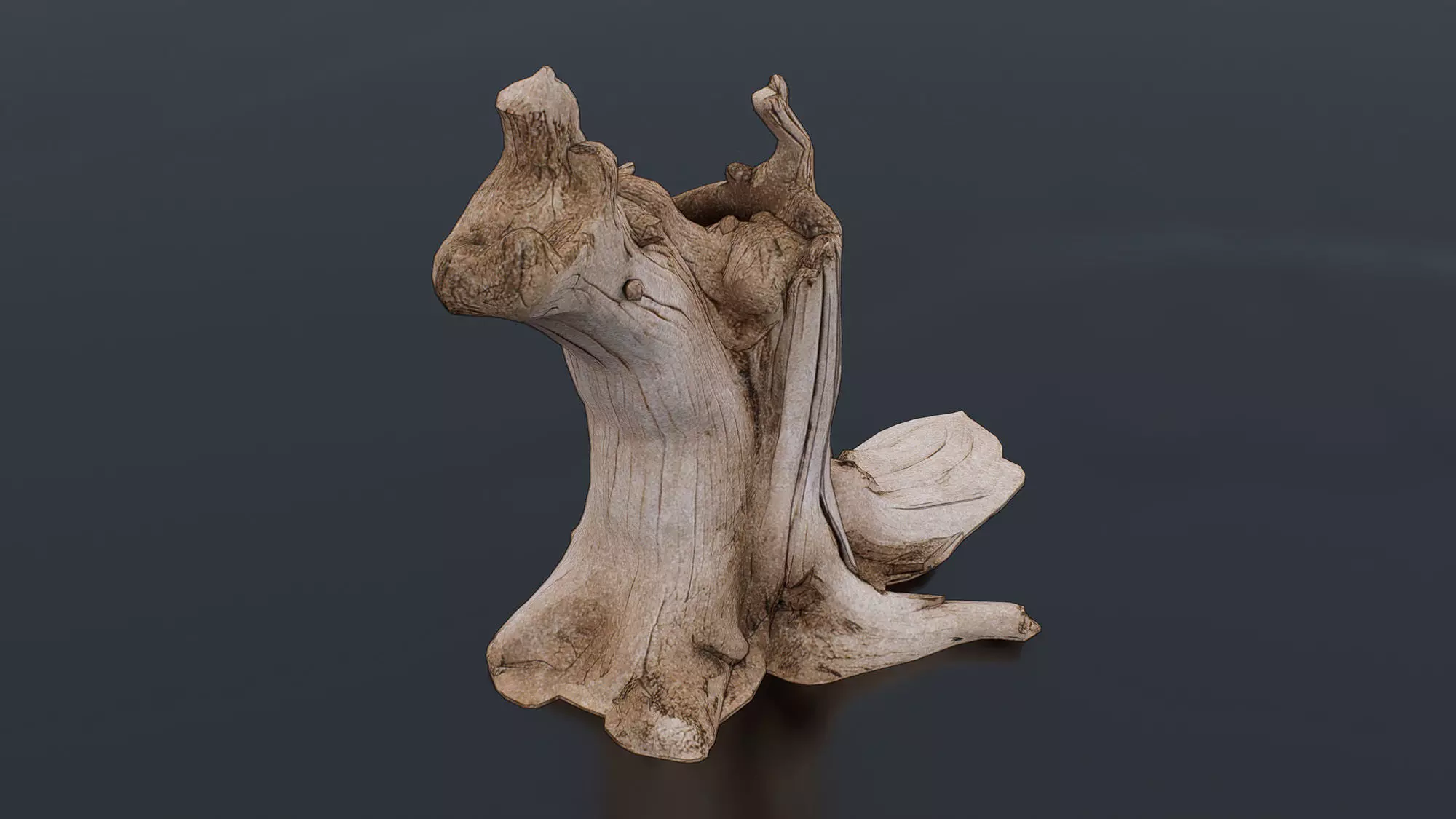 Tree Stump Low-poly 3D model_1