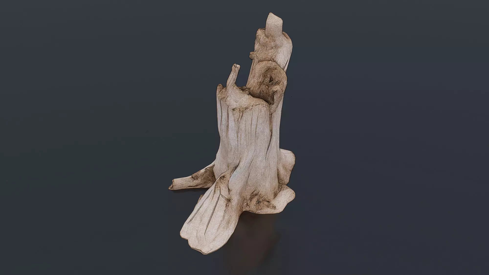 Tree Stump Low-poly 3D model_2