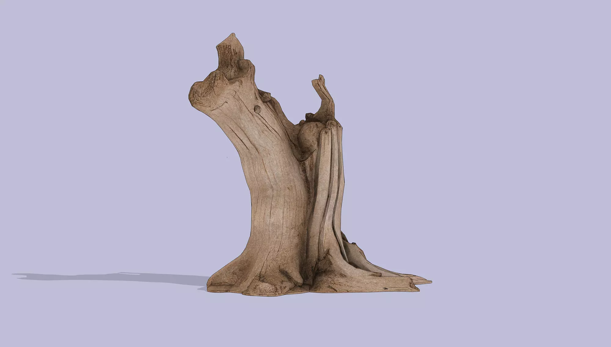 Tree Stump Low-poly 3D model_6