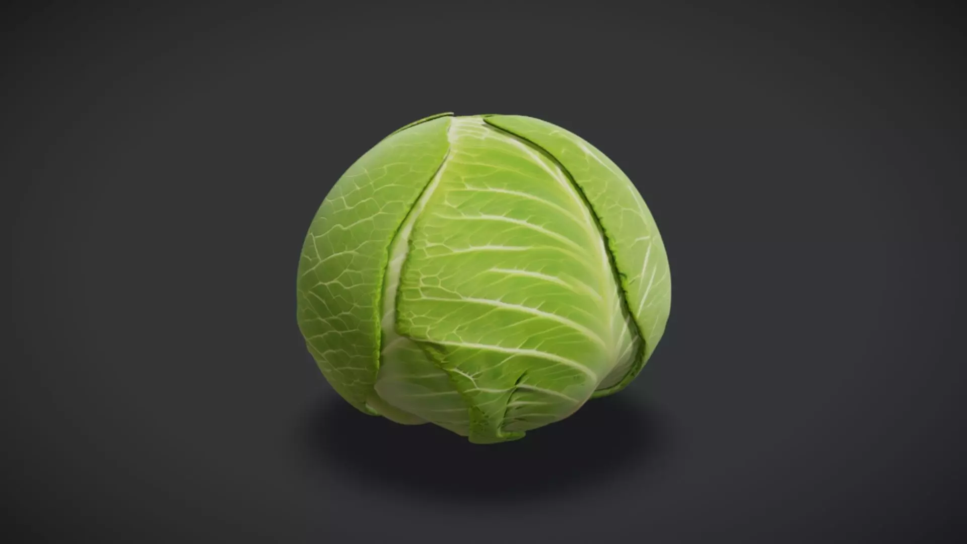 Cabbage 3D model_0