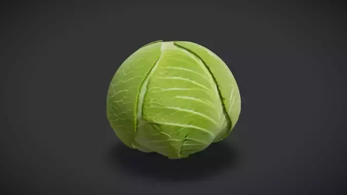 Cabbage 3D model