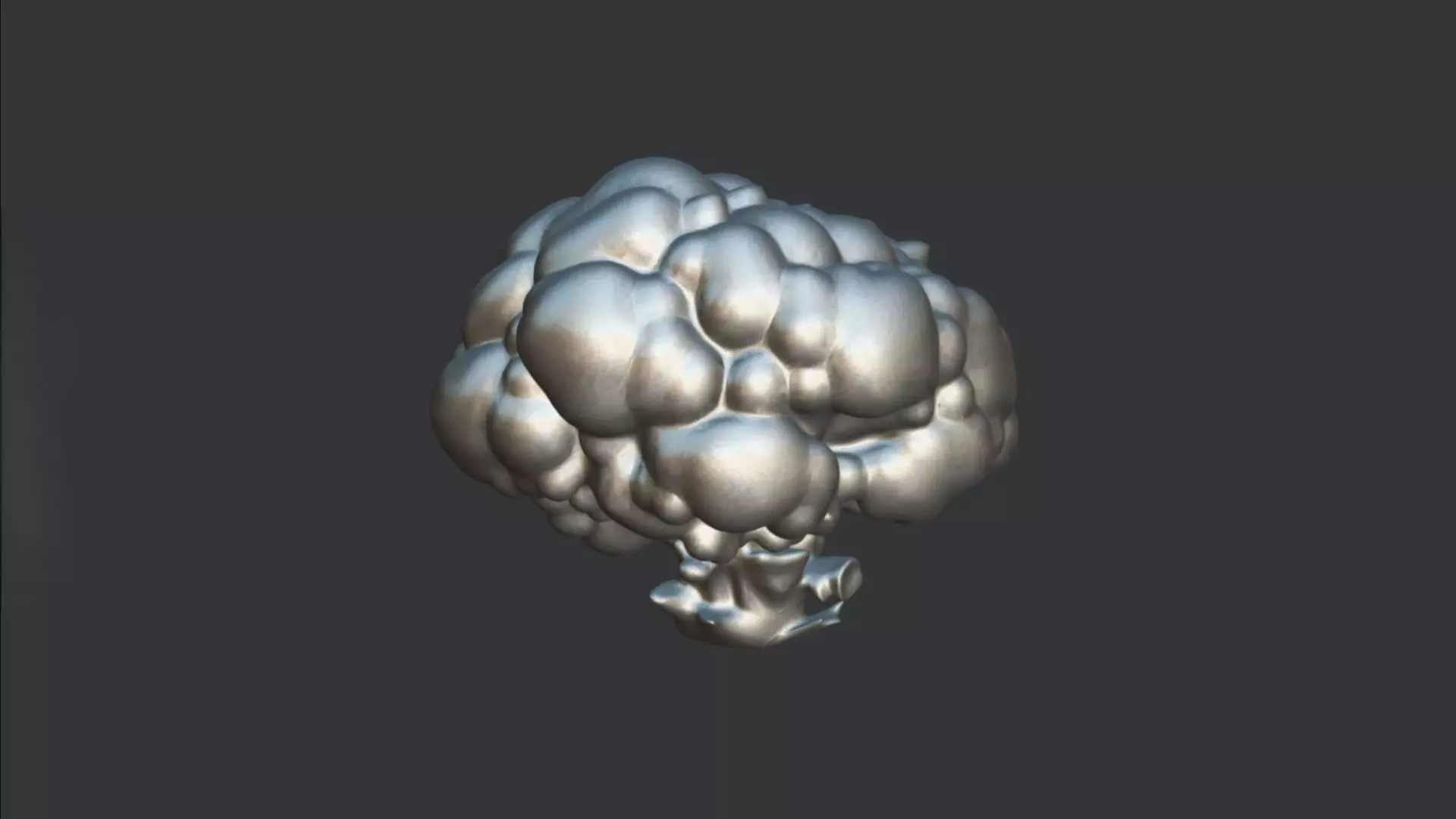 Cauliflower 3D model_1
