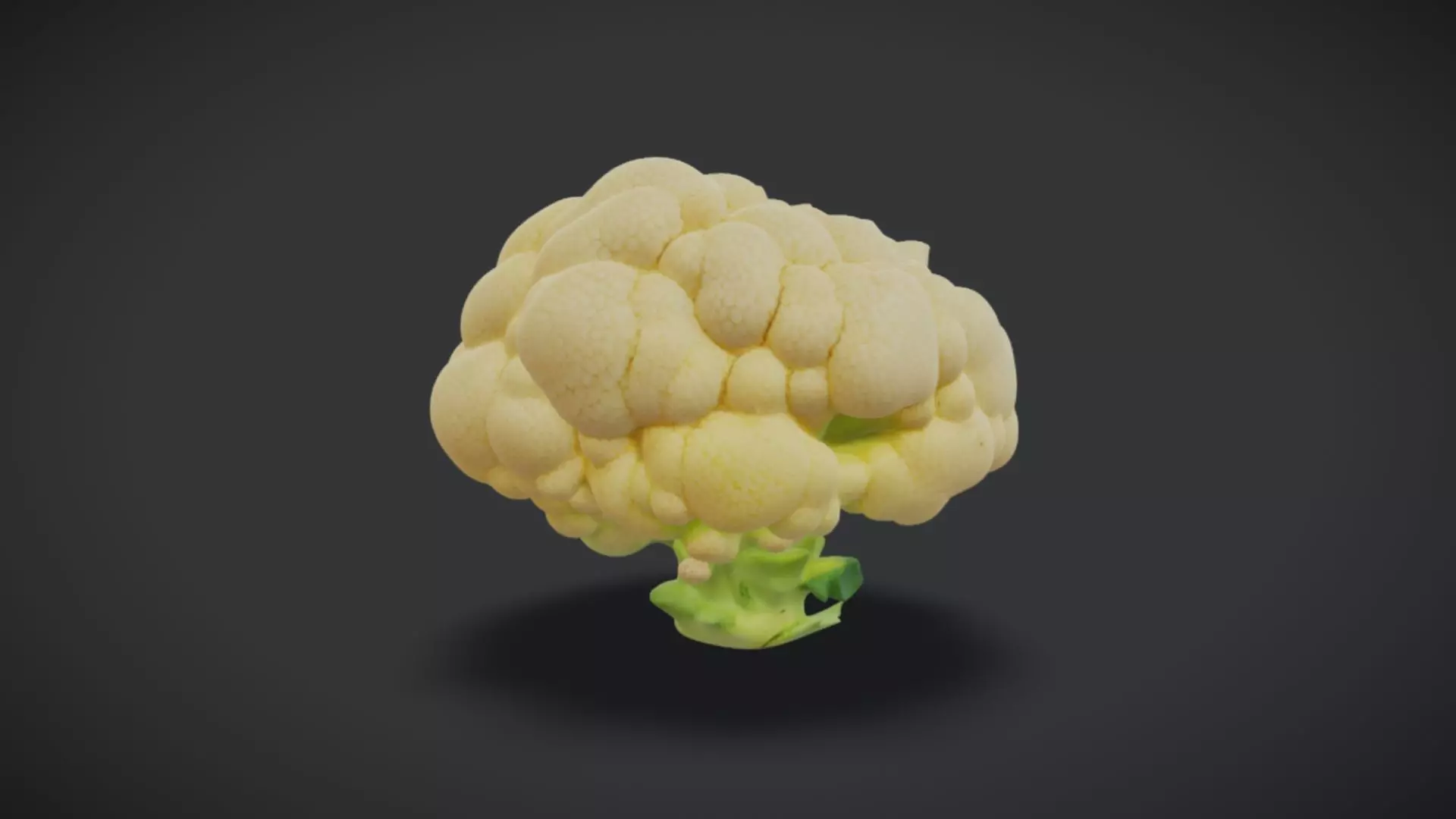 Cauliflower 3D model_0