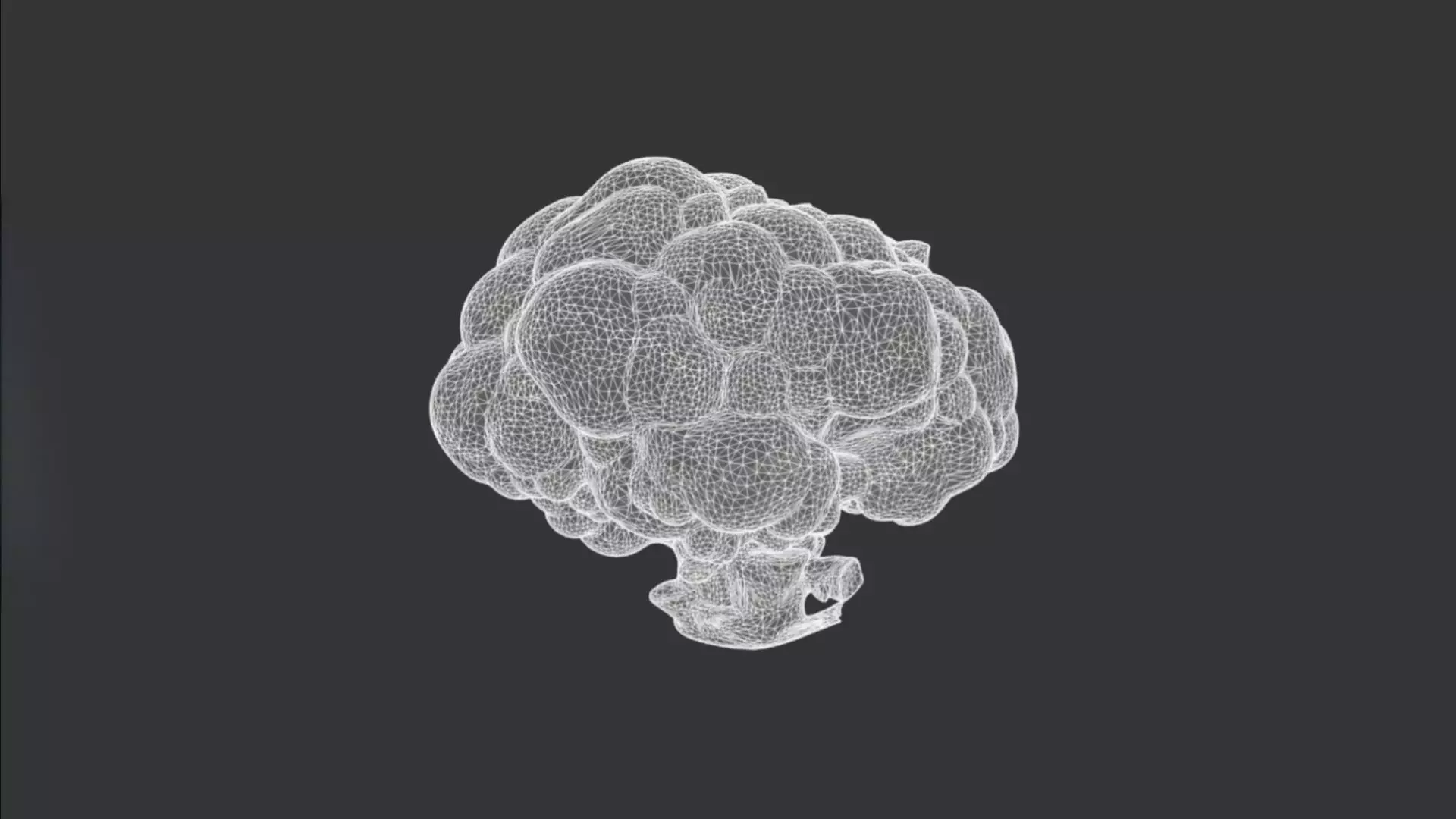 Cauliflower 3D model_2