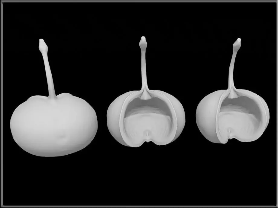 Buddha coconut Low-poly 3D model_3