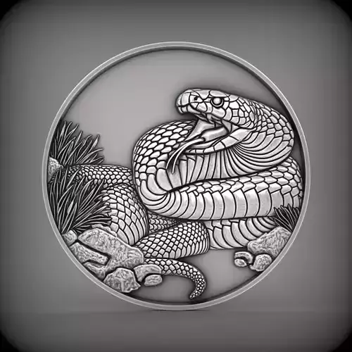 Snake coin CNC Relief Model