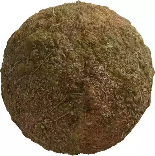 Ultra Realistic Forest Ground With Moss Texture Ultra Realistic Forest Ground With Moss Texture