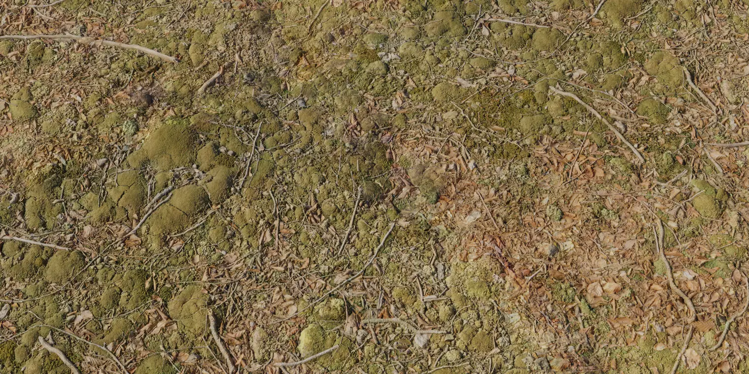 Ultra Realistic Forest Ground With Moss Texture_1