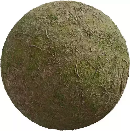 Realistic Muddy Grass Ground with Twigs Texture