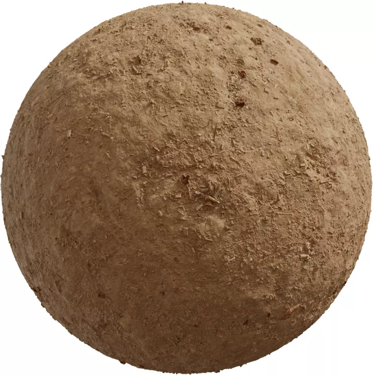 Realistic Dry Sandy Soil Ground with Small Organic Debris Texture_0