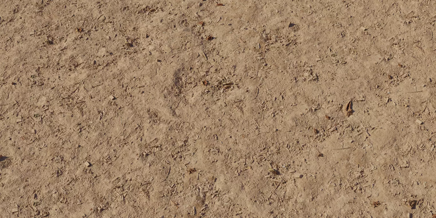 Realistic Dry Sandy Soil Ground with Small Organic Debris Texture_1