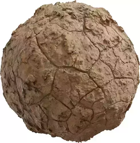 Cracked Dry Desert Clay Ground Texture Texture Cracked Dry Desert Clay Ground Texture Texture