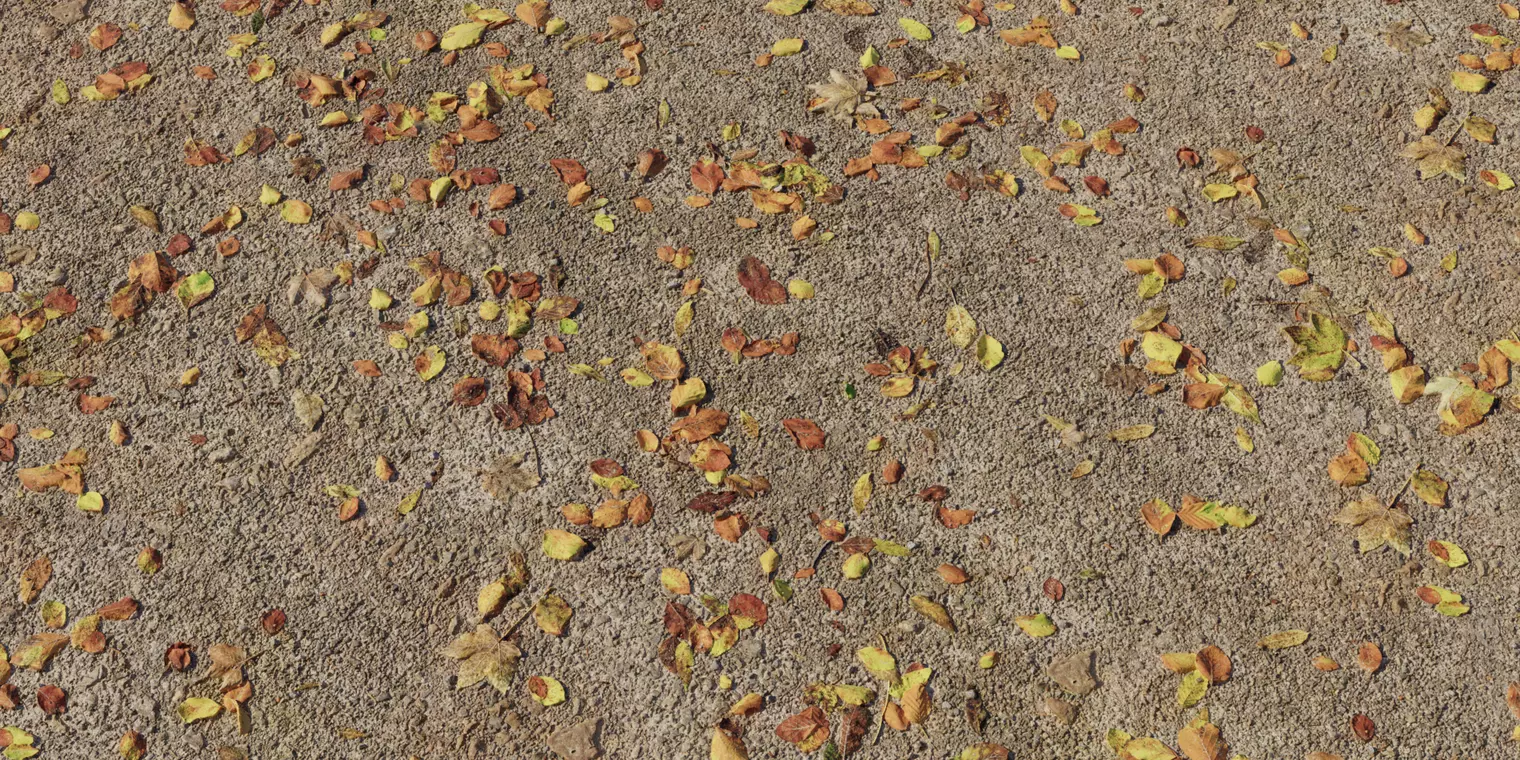 Autumn Fallen Leaves on Dirt Ground Seamless PBR Texture Texture_1
