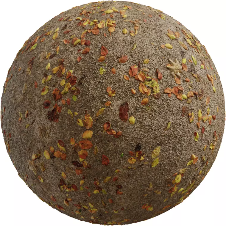 Autumn Fallen Leaves on Dirt Ground Seamless PBR Texture Texture_0