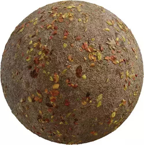 Autumn Fallen Leaves on Dirt Ground Seamless PBR Texture