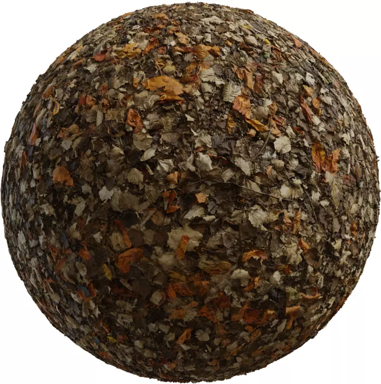 Highly Detailed Autumn Fallen Leaves Ground PBR Texture Texture_0