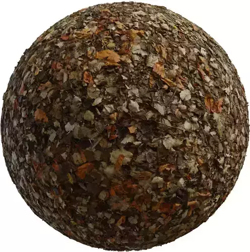 Highly Detailed Autumn Fallen Leaves Ground PBR Texture