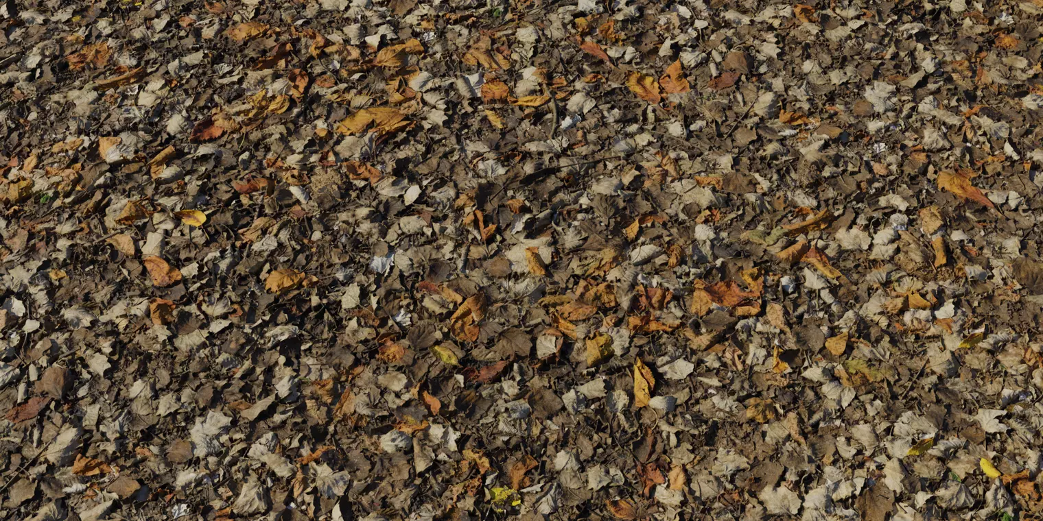 Highly Detailed Autumn Fallen Leaves Ground PBR Texture Texture_1