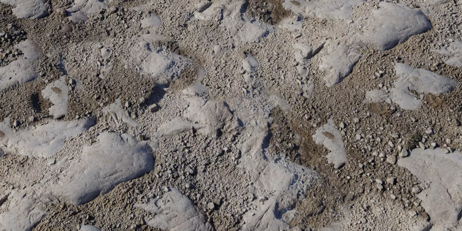 Rocky Soil With Exposed Bedrock PBR Texture Texture_1