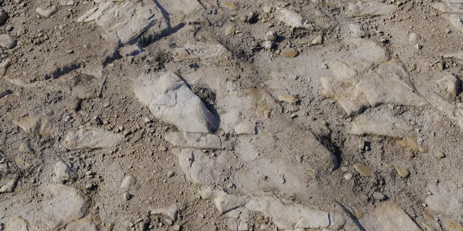 Layered Bedrock With Compact Soil PBR Texture Texture_1