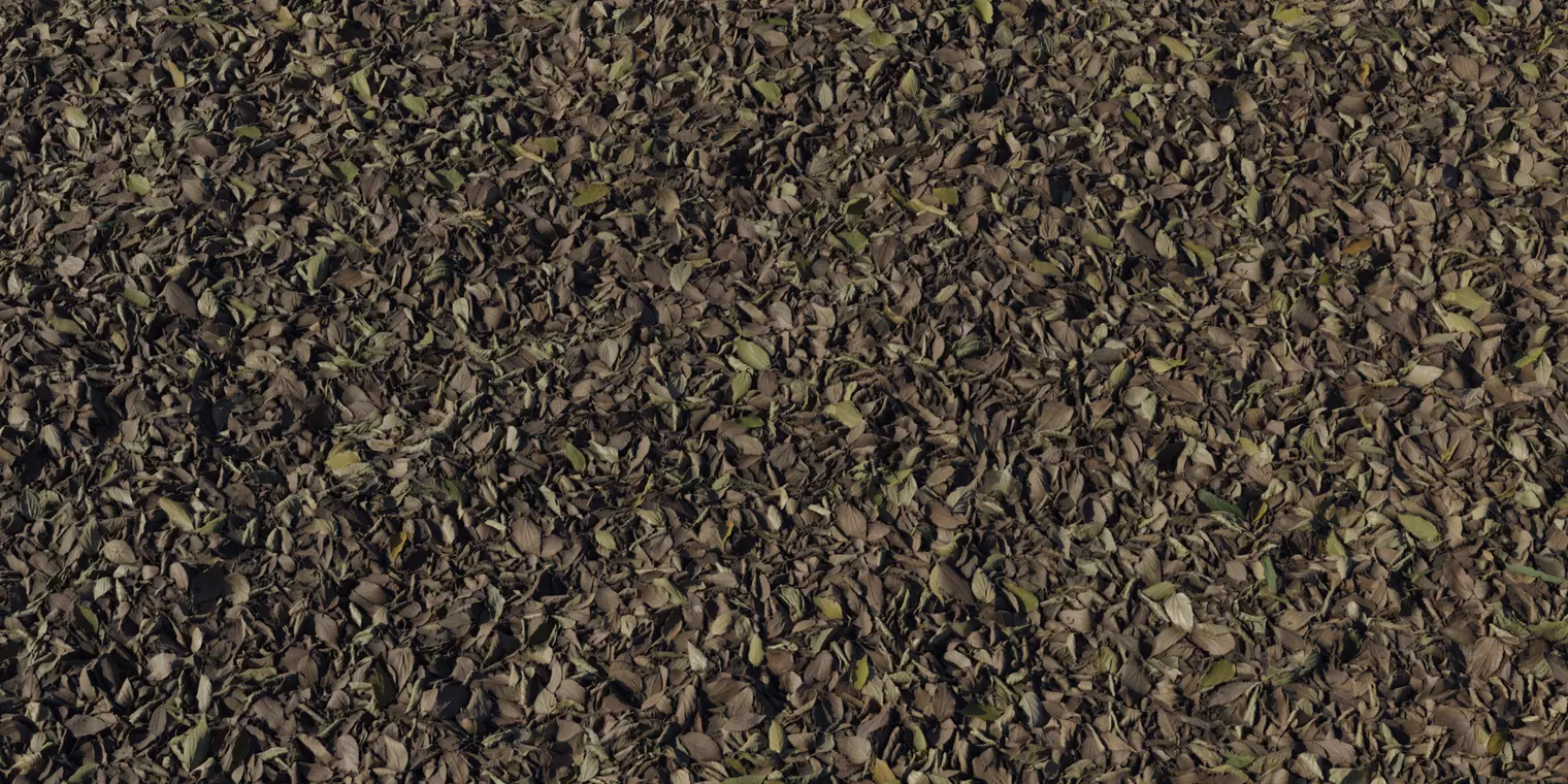 Forest Floor Fallen Leaves PBR Texture Texture_1
