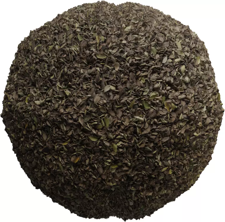 Forest Floor Fallen Leaves PBR Texture Texture_0