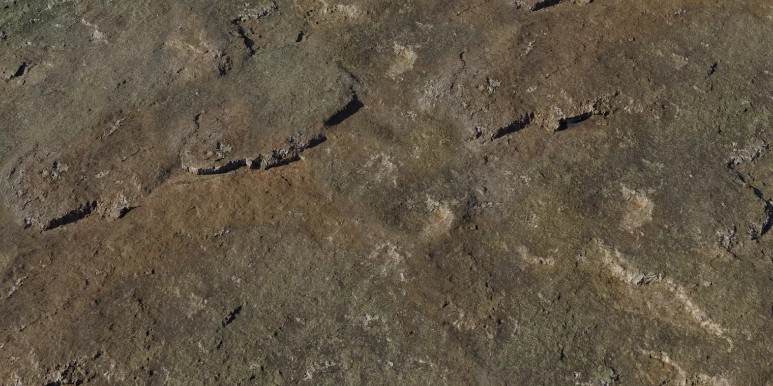 Weathered Mudrock Ground PBR Texture Texture_1