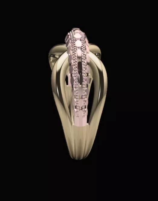 Golring14 3D print model_3