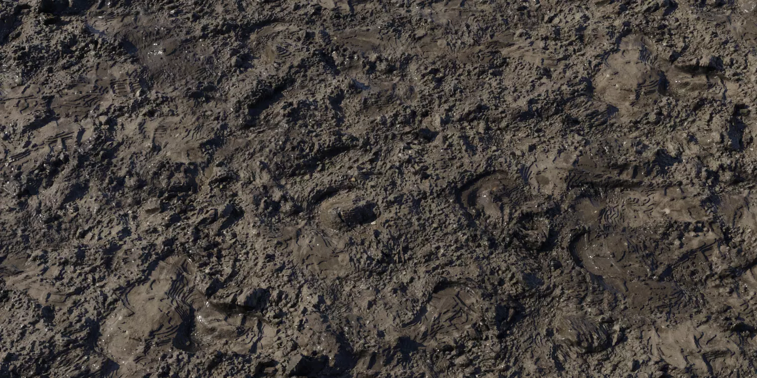 Saturated Mud With Footprints PBR Texture Texture_1