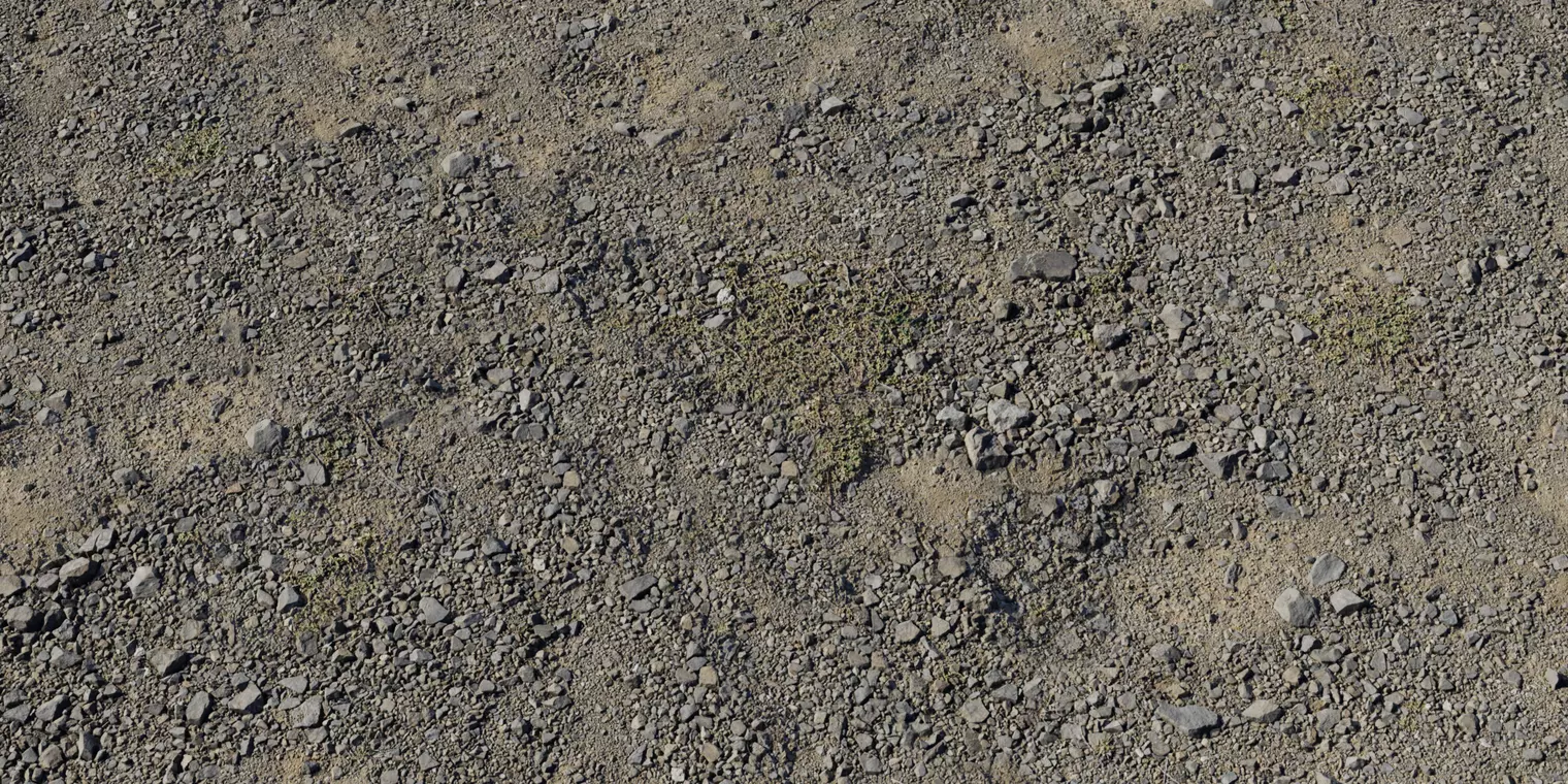 Dry Gravelly Dirt With Grass Patches PBR Texture Texture_1