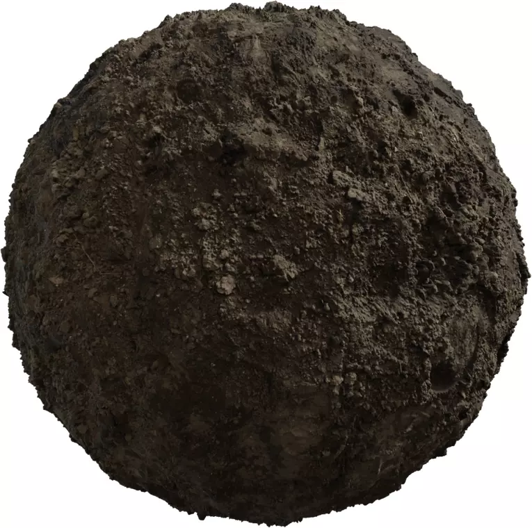 Freshly Tilled Soil With Footprints PBR Texture Texture_0