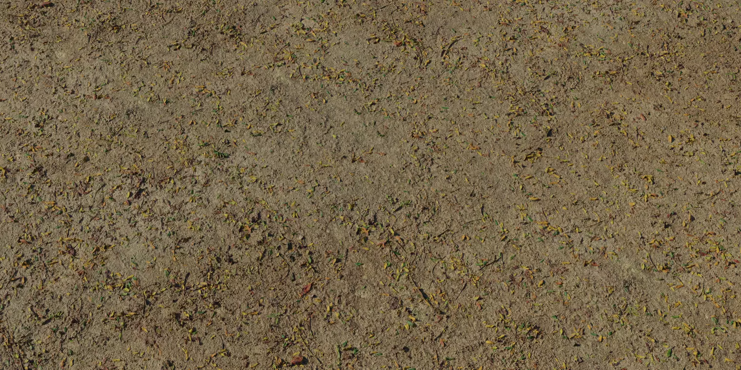 Dusty Park Soil With Leaf Litter PBR Texture Texture_1