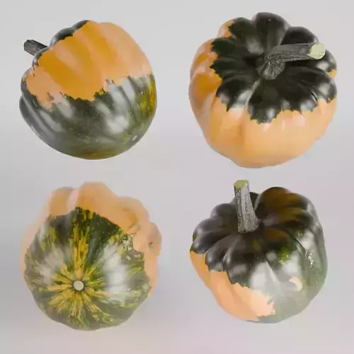 Pumpkin - Squash Low-poly 3D model 2
