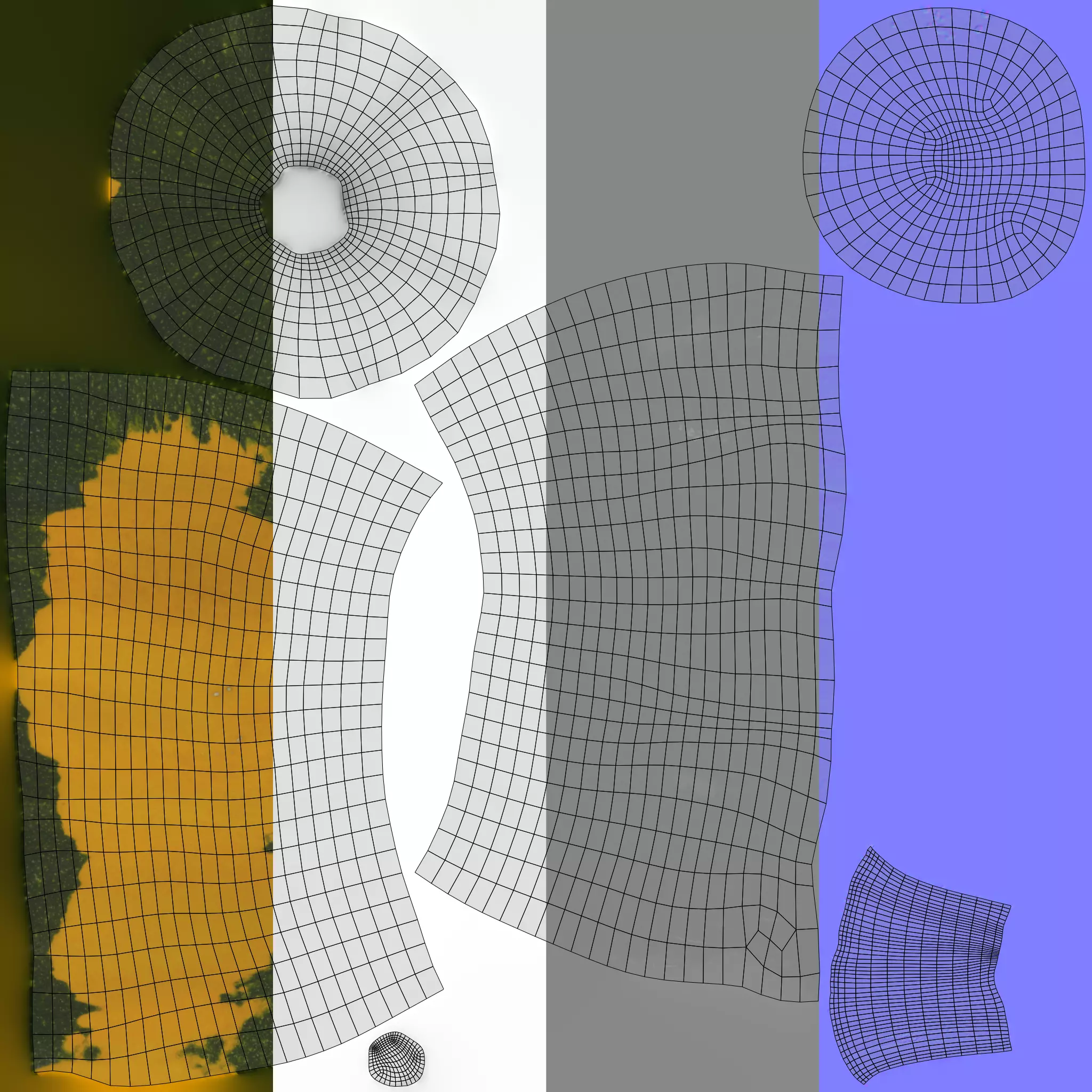 Pumpkin - Squash Low-poly 3D model_11