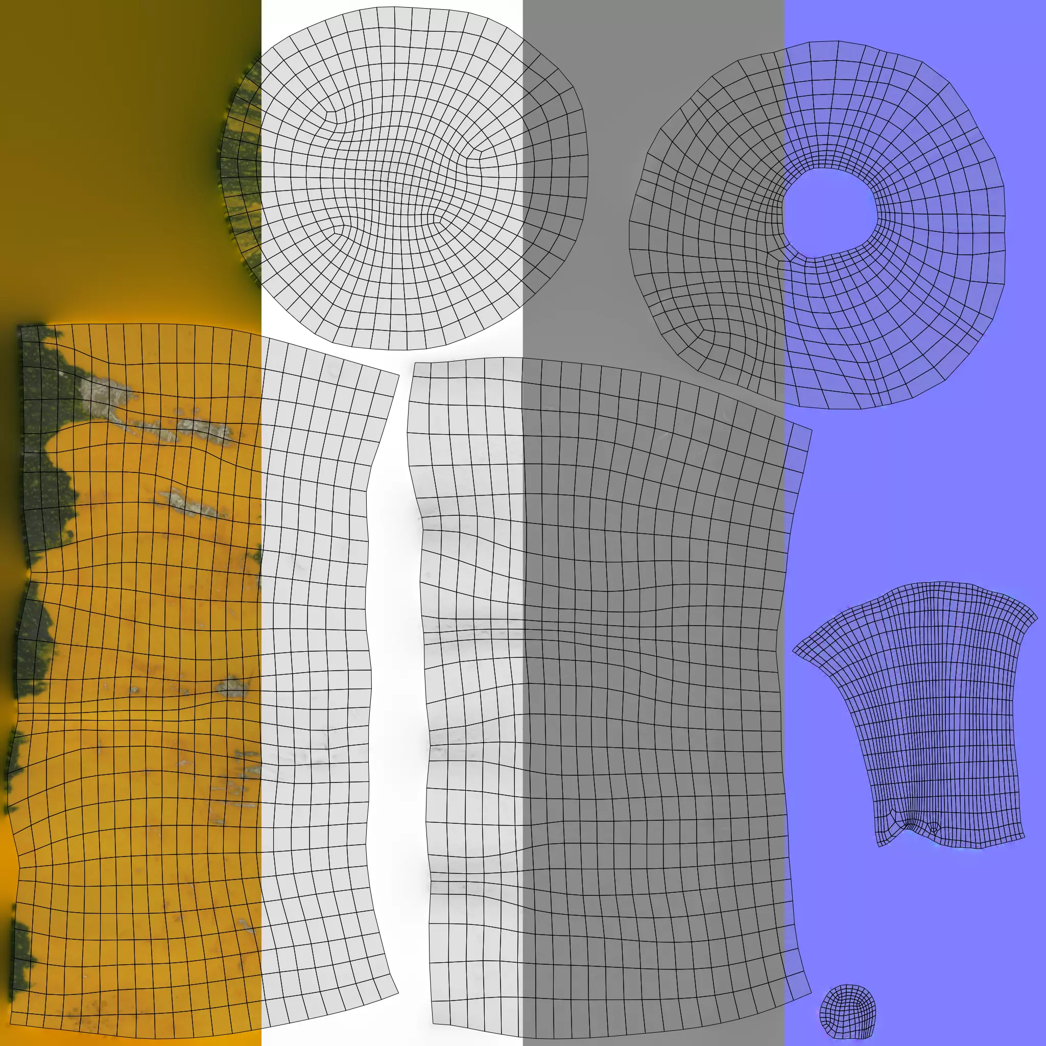 Pumpkin - Squash Low-poly 3D model_8