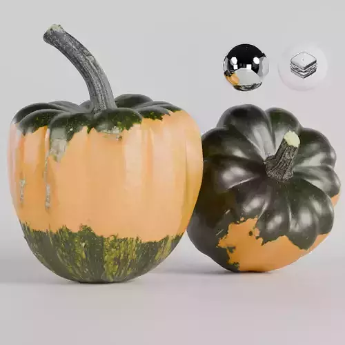 Pumpkin - Squash Low-poly 3D model Pumpkin - Squash Low-poly 3D model