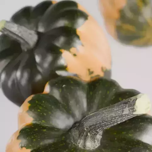Pumpkin - Squash Low-poly 3D model 4