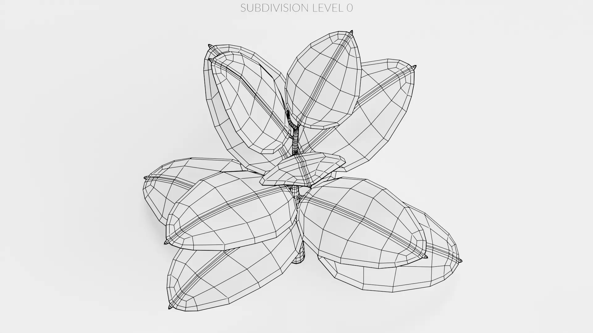 -Rubber Tree - Ficus Elastica- 3D model_10