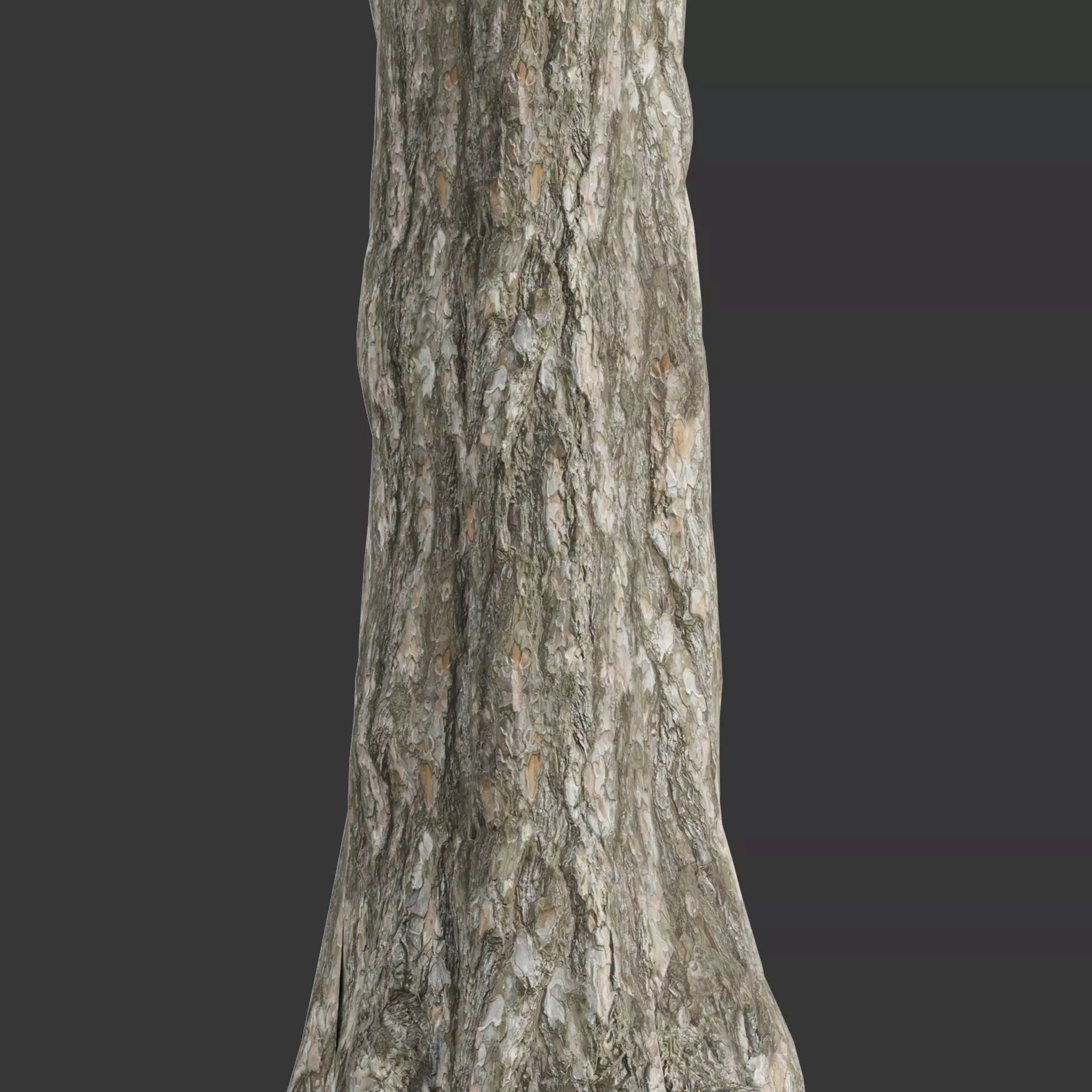 Low Poly Trees Low-poly 3D model_4