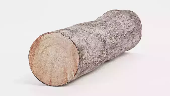3D Model Pack Tree Logs Set V1 - Large Realistic Cut Wood Collection VR ...