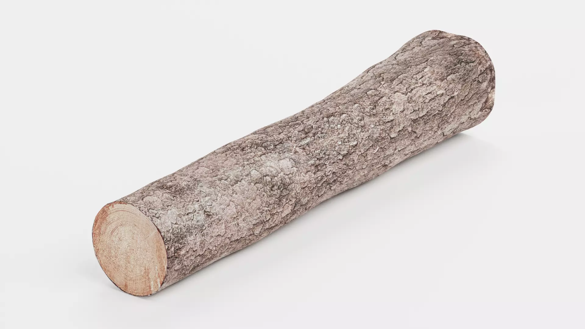 -Tree Log V2- Low-poly 3D model_4